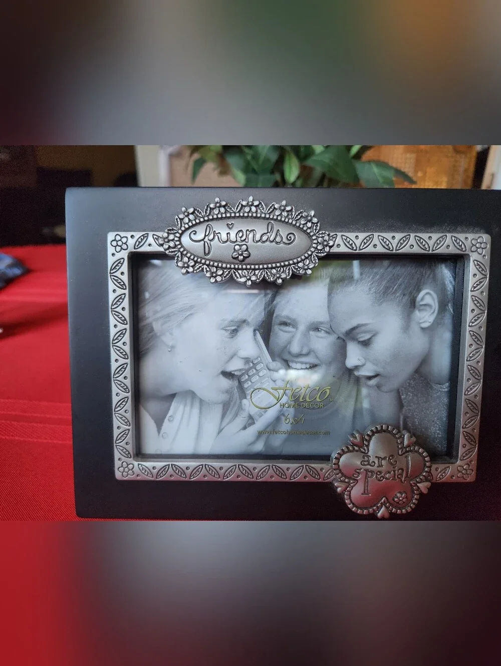 Friends Decorative Black Picture Frame with Silver Accents